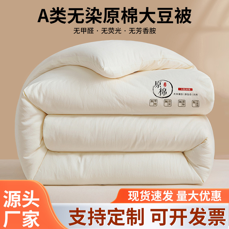 Category a Maternal and Infant Grade Soy Fiber Quilt Spring & Fall Quilt Thickeneded Warm Winter Quilt Group Purchase Gift Quilt Core Manufacturer Wholesale