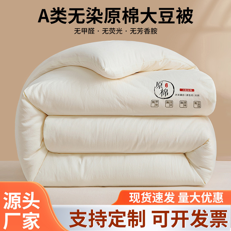 Category a Maternal and Infant Grade Soy Fiber Quilt Spring & Fall Quilt Thickeneded Warm Winter Quilt Group Purchase Gift Quilt Core Manufacturer Wholesale