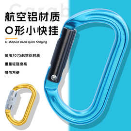 CLWIZ 航空铝吊床扣直门款登山配件水壶包包装饰品高拉力挂钩