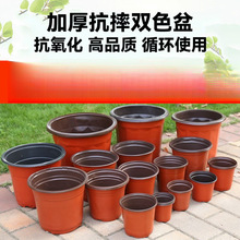 �Ӻ��pɫ����Nֲ���������ϠI�B��һ���Ԉ@ˇ�Gֲ�����Ǥ�����