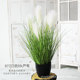 32 inch 5 white reeds