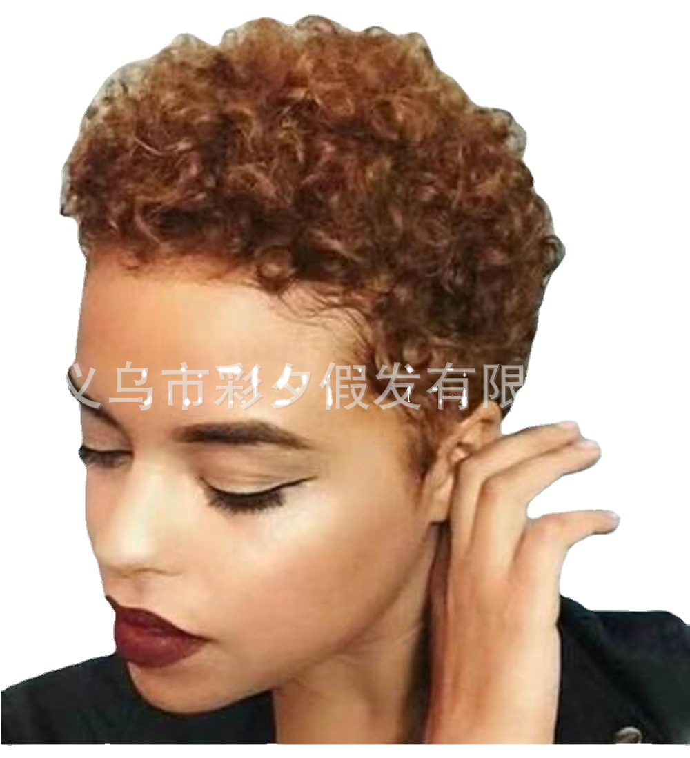 Peluca de comercio exterior de Europa y América explosión pequeño rizado pelo falso pelo corto de las mujeres africanas