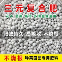 ʼͨ͏ͺϷʷN˷Nص⛷ԻܹЙC