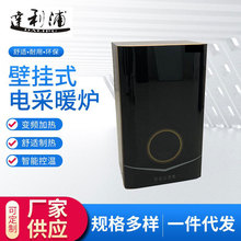 农村220V全自动电采暖炉煤改电地暖采暖锅炉家用两用供暖一件代发