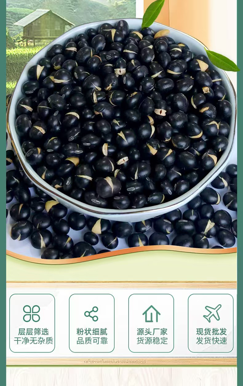 Roasted Yellow-Heart Black Soybeans Hei Dou Ready-to-Eat Grain Milling Ingredient 500g quality and texture