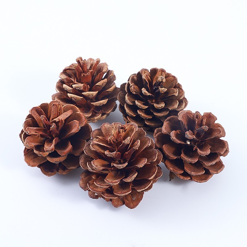 Sitio de Navidad de pinos de siete colores decoración paquete creativo de manzana material de decoración accesorios adornos embalaje de flores