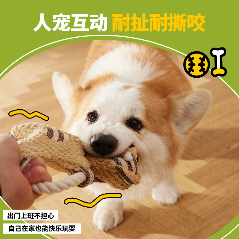 Pet Sound juguete resistente al desgaste resistente a la rotura perro resistente a la mordedura juguete molar Limpieza de dientes de dibujos animados animales suministros para mascotas