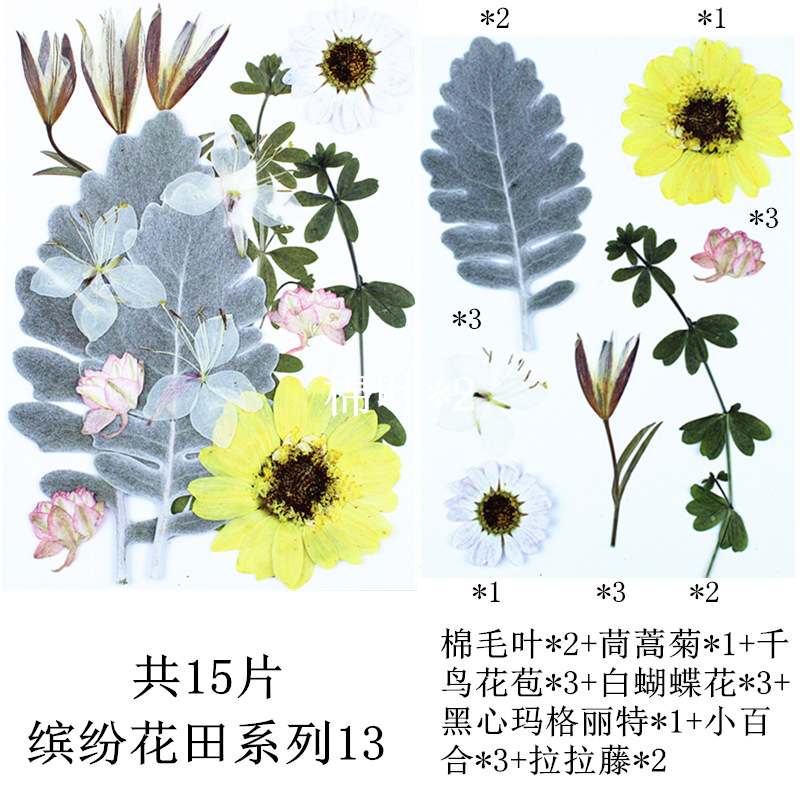 다채로운 꽃 밭 조합 13