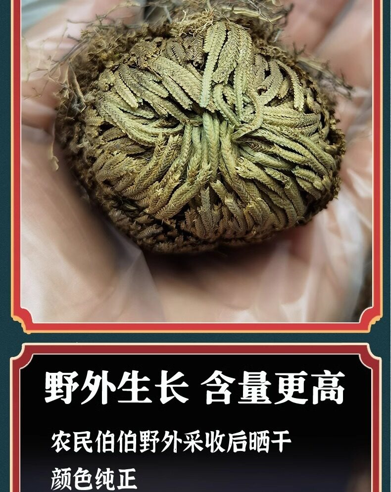 Dried Selaginella Herb Juan Bai 九死还魂草 Wild Resurrection Plant 100g Sample Pack key features