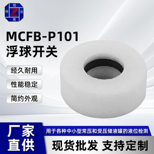 Float Switch Float Water Level Switch Liquid Level Switch Pp Plastic Float Switch Mcfb-P101 Float Switch