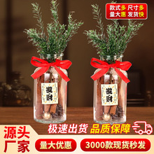 批发肉桂生财瓶摆件招财玻璃瓶客财厅位乔迁搬家用肉桂生财瓶