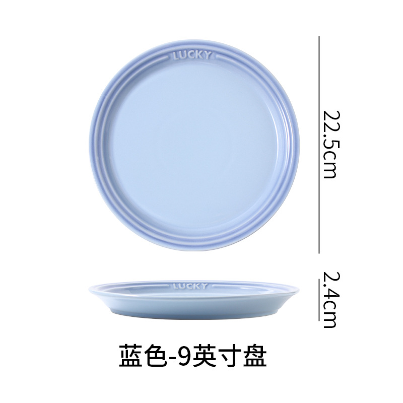 9 인치 블루 디스크