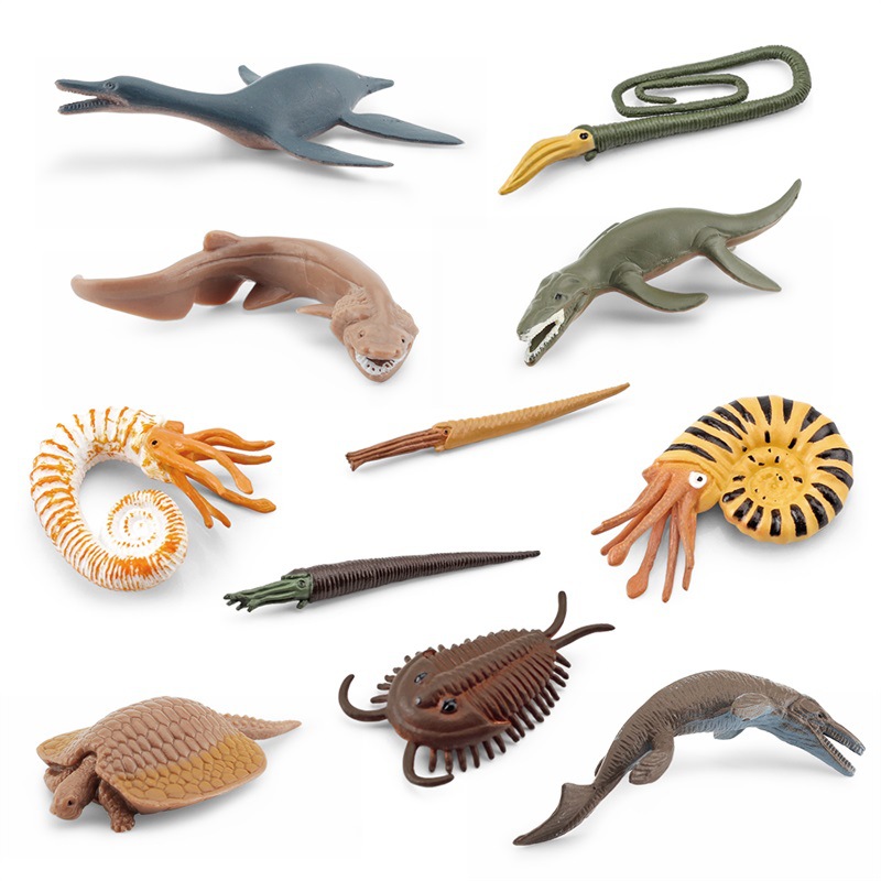 Simulación transfronteriza de modelos de animales marinos antiguos Trilóbulos de ammonita de peces de Dundee Ornamento estático de escritorio