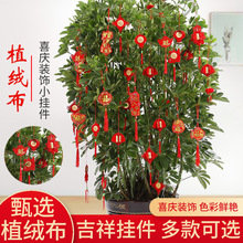 2025�¿�ֲ�qС���\����辰�b��ô����҃ȸ��֘��ϑ���СE18