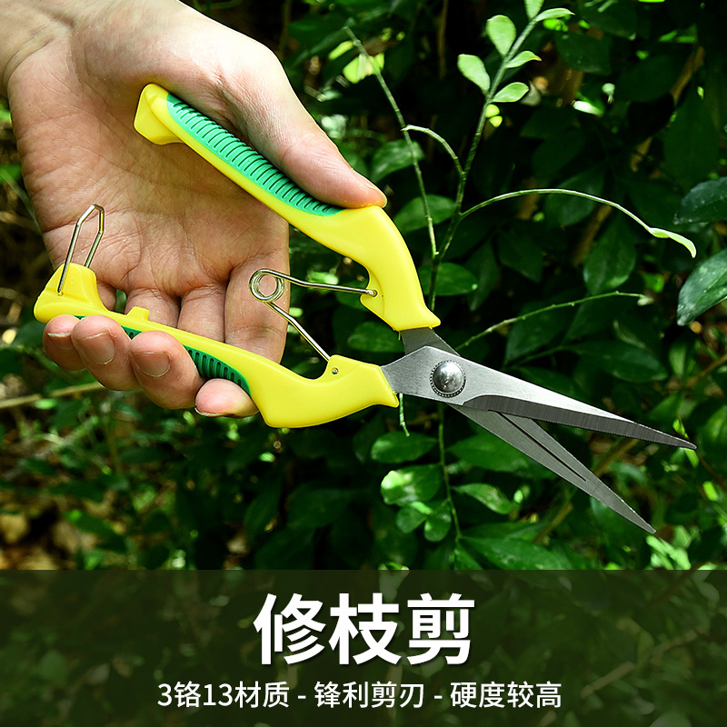 园林工具修枝剪 花艺盆栽嫁接花枝剪不锈钢稀果剪摘葡萄剪刀 现货