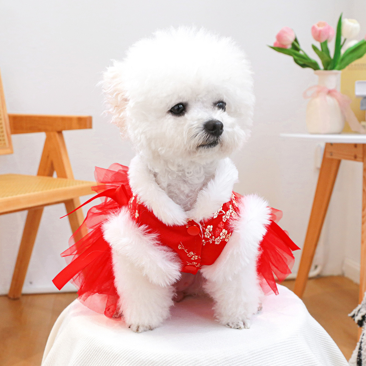 공장 직접 공급 | 대외 무역 재고 애완 동물 옷 개 고양이 의류 번영 새해 치마