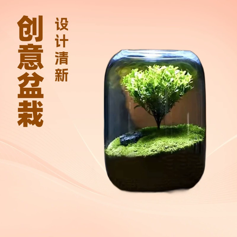 Дерево жизни микро-ландшафтный столешница украшение эко-бутылка креативное благоустройство бонсай мох зеленая посадка праздничный подарок на день рождения