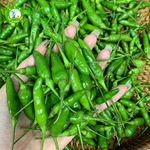 泰国风味小雀辣迷鸟眼椒小青椒云南小米辣新鲜青辣椒泡椒野生巨辣