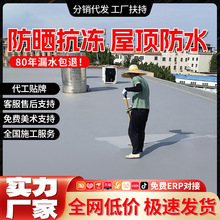 一件代发屋顶防水涂料大面积补漏液体卷材堵漏沥青防水聚氨酯防水