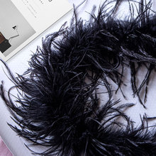 �F؛15-18cm�r�Bë�l�Ʒ������b�o���ֹ�ˇƷ�o���r�B��ë�q�l