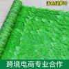 LB light -colored green dill leaf fence