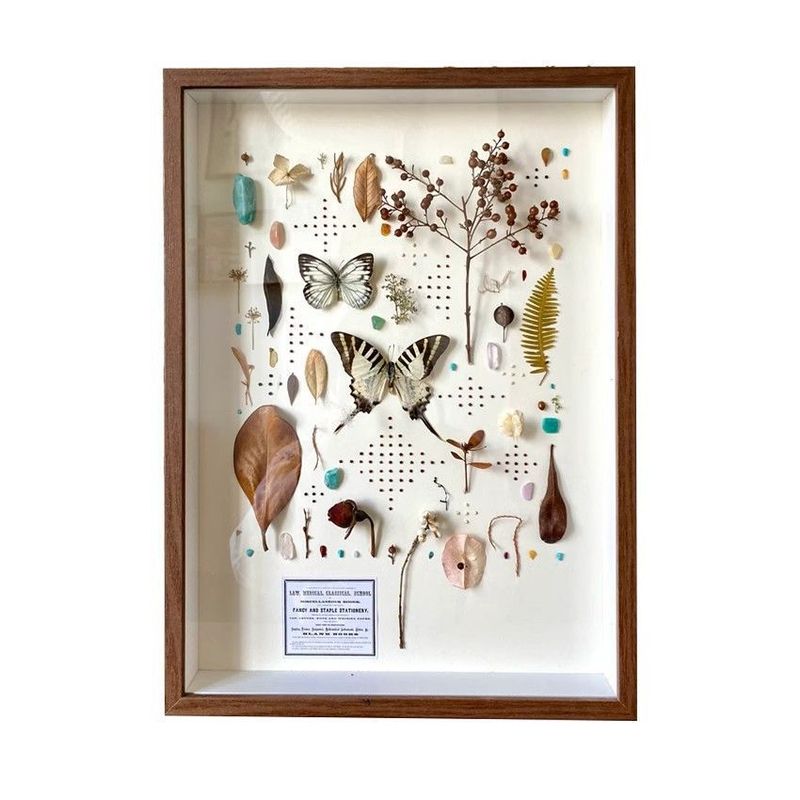 严选diy手工相框中空标本框贝壳石头植物干花收藏保存展示画框架|undefined