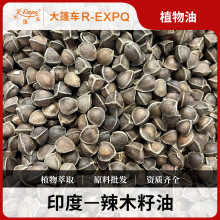 ��ľ����Moringa&nbsp;Seedӡ���M��ԭ�����l���w��Ħֲ���ͻ��A��