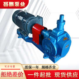 YCB20-0.6大功率圆弧齿轮泵三相润滑油机油输送泵昌鹏泵业电动泵