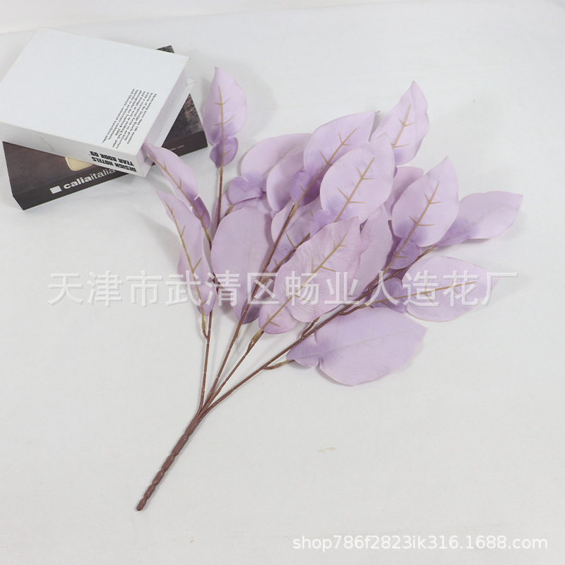 자몽 작은 손잡이
