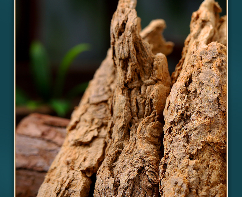 Fan Bai Cao Di Gu Pi Herbal Tea Blend Potentilla Discolor and Lycium Root Bark 250g Bag specifications