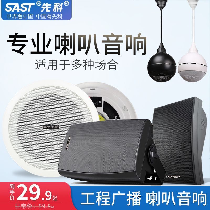 Xianke Ceiling Audio Commercial Store Indoor Ceiling Wall Hanging Ball Speaker Ceiling Speaker Embedded Speaker