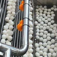 牛肉丸子油炸流水线 全自动肉丸机包心肉丸子成型机 肉丸制作设备