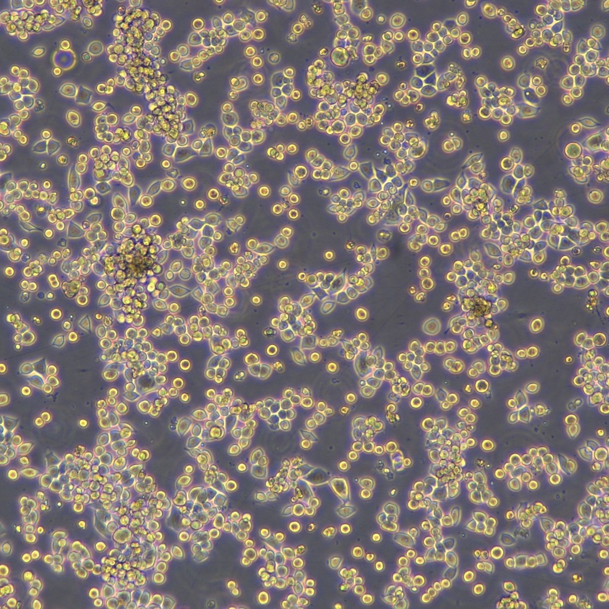 2025-11-05 16:02:26.jpg