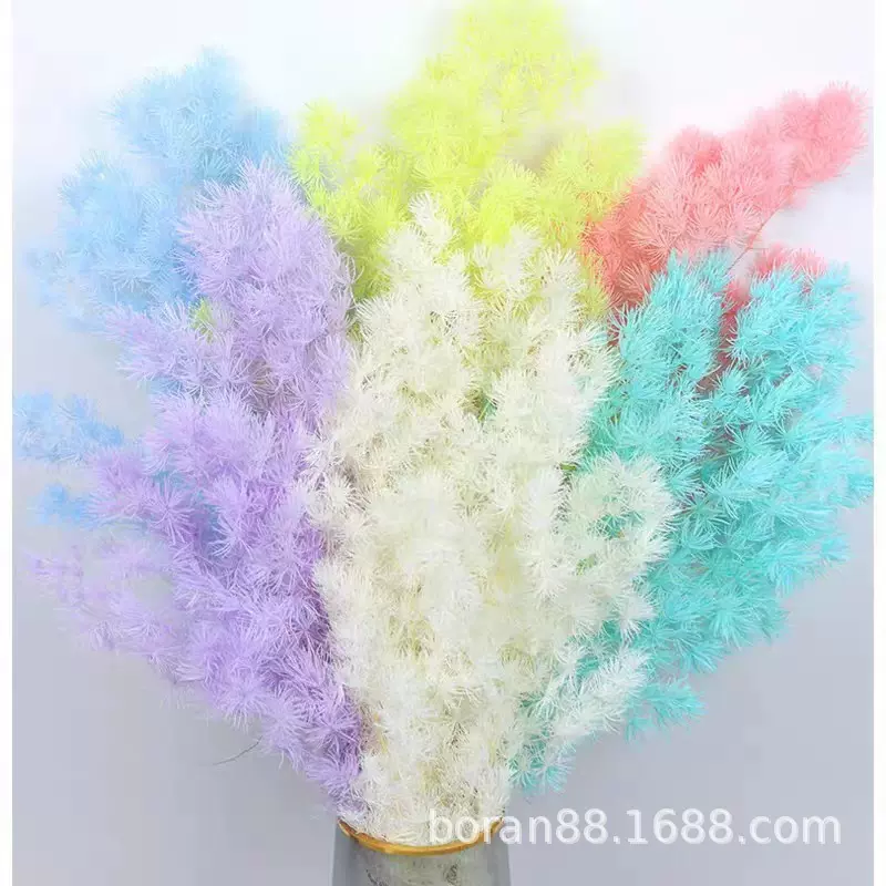 永生蓬莱松批发 diy配材雪松配材永生花花艺摆件装饰云南厂家直发