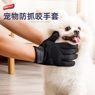 TAILI/̫���������׷�ץҧ���o���̷�����������̌��÷�����ָ