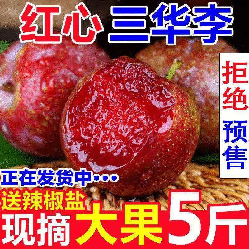 Fresh Guangdong Authentic Sanhua Plums, Seasonal Fresh Sweet and Sour Crisp Extra-Large Fruit Plums, Suitable for Pregnant Women, Whole Box with Free Shipping