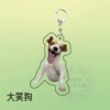 Laughing dog