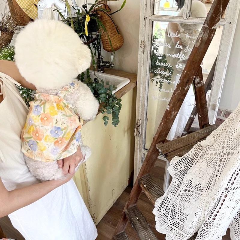 Ropa de perros de mascotas de verano delgada y refrescante vestido transpirable Teddy Bear cachorro Pomélago inns princesa viento