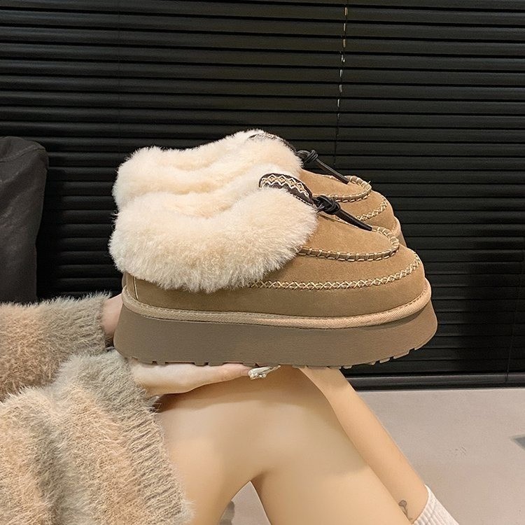 영양 브라운