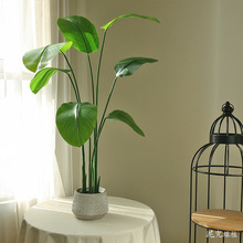 ����Gֲ�z�����˽��F�����s�Ꭷֲ�������B�҃ȼҾӔ[����O�Gֲ