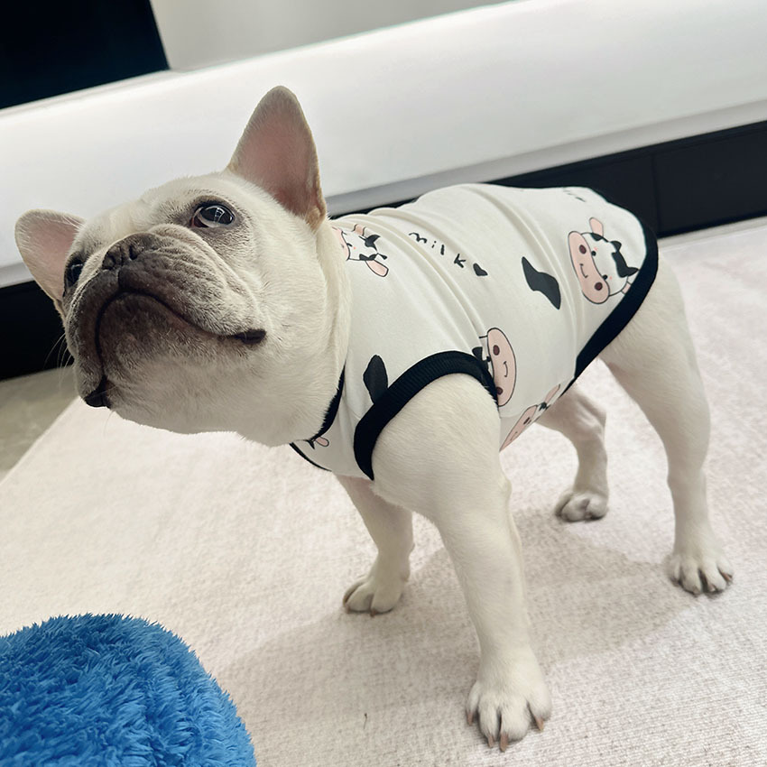 강아지 티셔츠 - 젖소