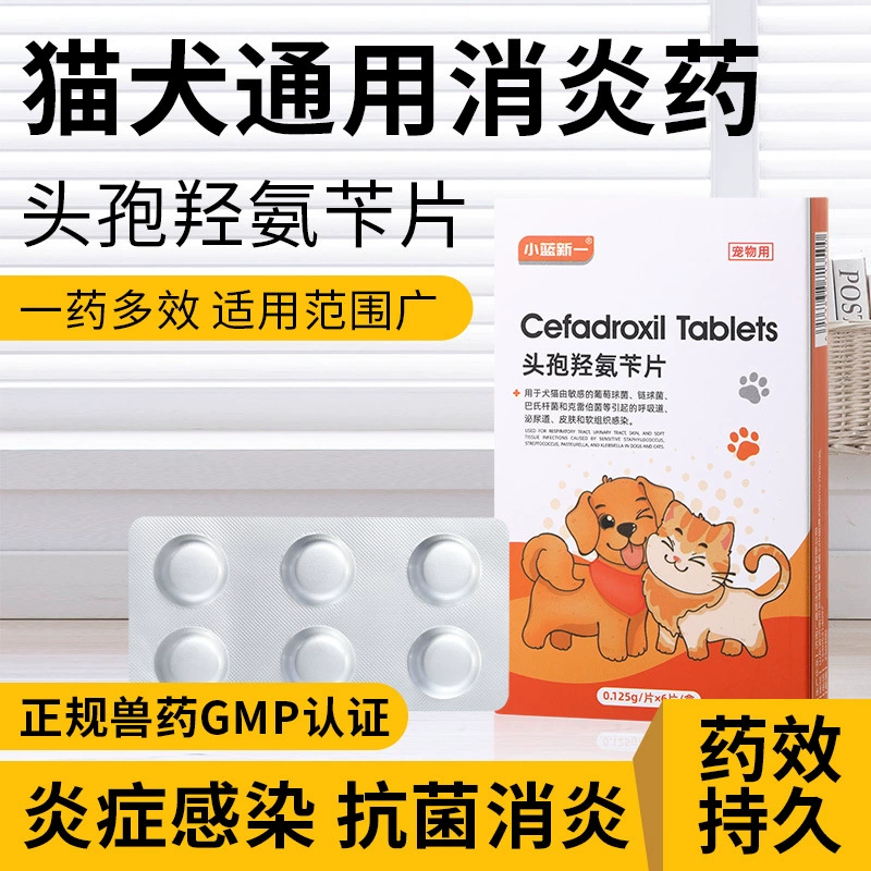 Цефадрексил таблетки для домашних животных, противовоспалительное средство для собак и кошек, специальное цефалоспориновое средство от простуды при инфекциях мочевыводящих путей и кожных заболеваниях.