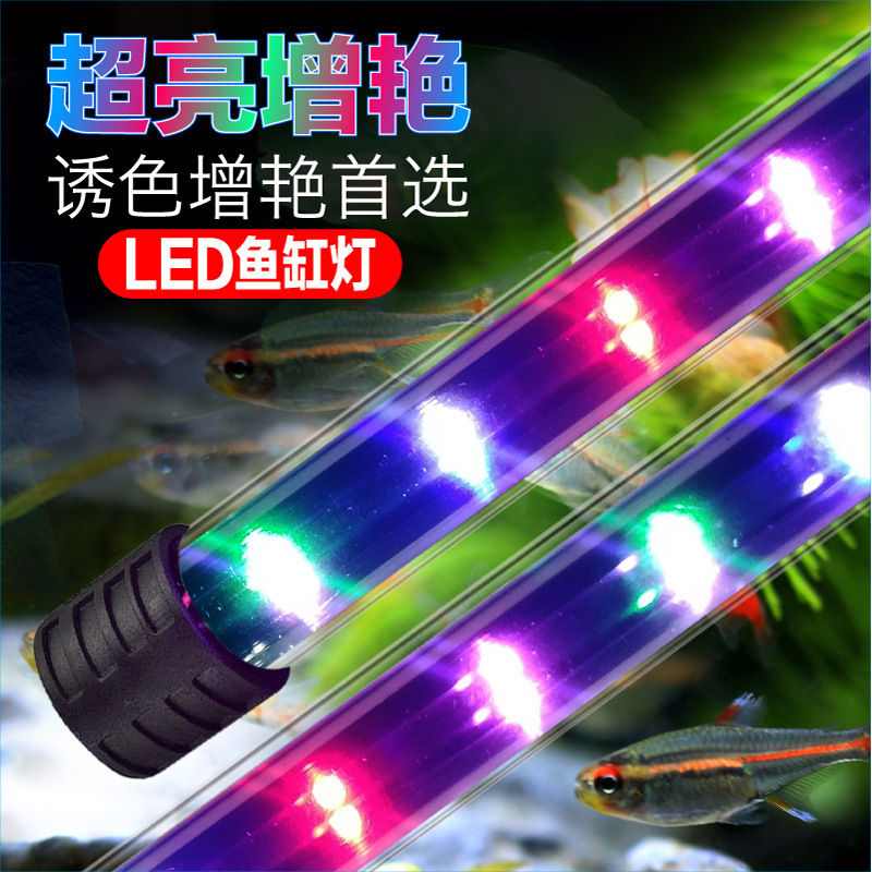 High-Brightness Diving Fish Tank Light Led Source Waterproof Lighting for Aquatic Plants and Aquariums, Enhances Brightness, White and Blue Lights, Goldfish Light, Cross-Border High-Brightness Diving Fish Tank Light Led Source Waterproof Lighting for Aquatic Plants and Aquariums, Enhances Brightness, White and Blue Lights, Goldfish Light, Cross-Border