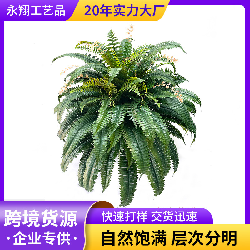 Simulated Persian grass artificial fern grass home plant wall…