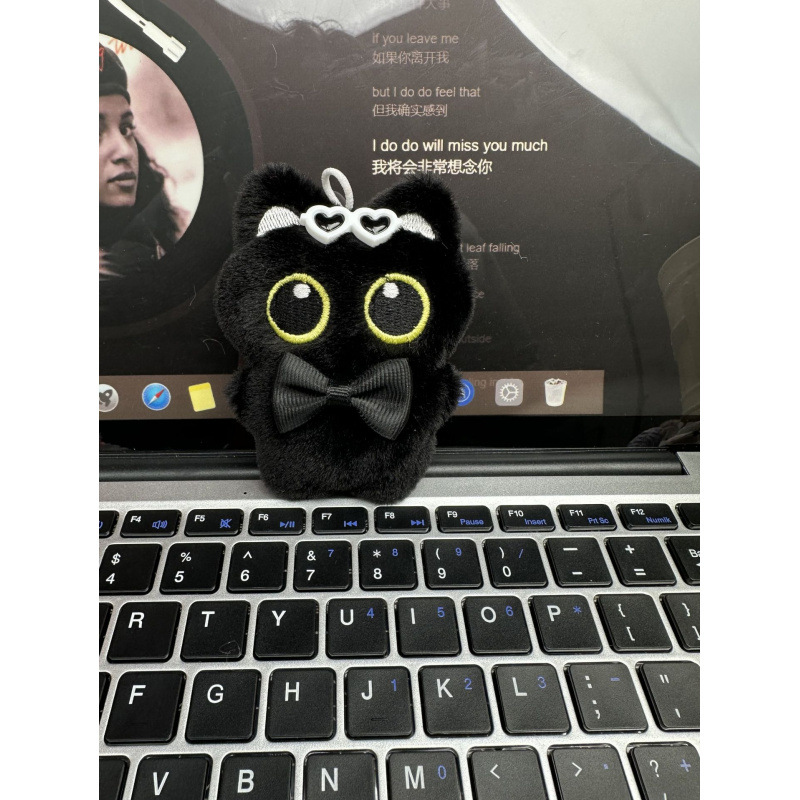 나비 선글라스를 쓴 검은 고양이