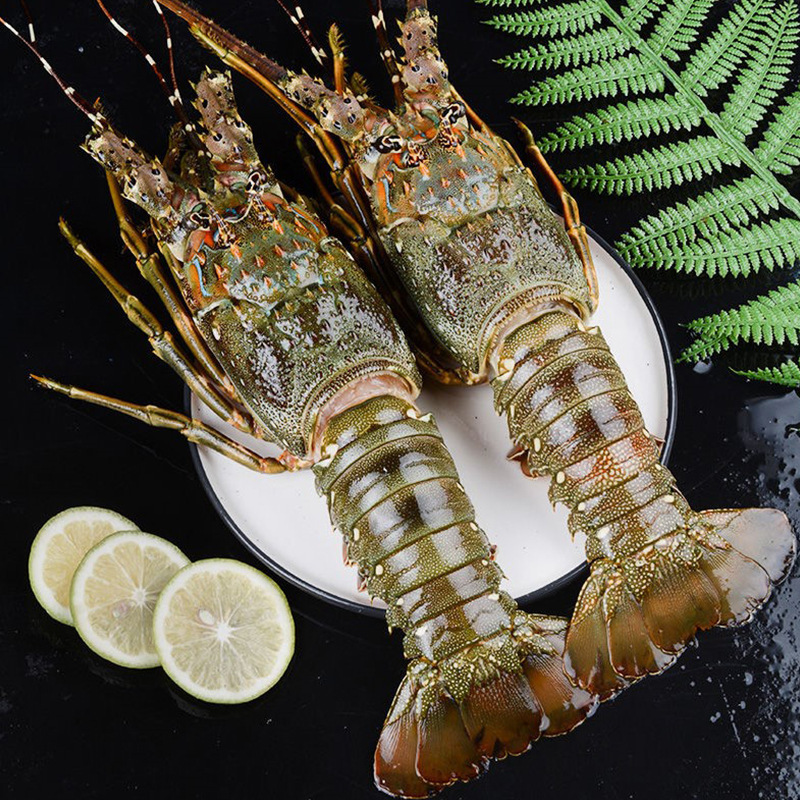 Raw Frozen Small Green Crayfish Restaurant Buffet Chilled Frozen Seafood Quick-Frozen Green Shrimp Live Frozen Vietnamese Green Dragon Commercial