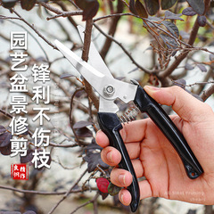 Gardening scissors, branch pruning scissors, stainless steel floral shears, pruning shears, fruit tree shears, flower branches, garden bonsai tools