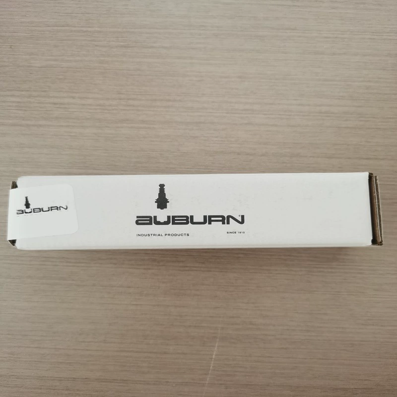 Рыжий воспламенитель I-31-1/maxon 23739 CS 15266