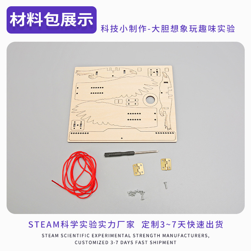 Los niños creativos hechos a mano tecnología educativa pequeña producción DIY Bionic Flying Bird STEM diversión invención experimento paquete de material