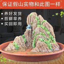 �^�溣��ɽ�辰�[����ˮ��ʯ��ԭʯ�~����ˮ�쾰ʯ�҃�΢���^�͏d